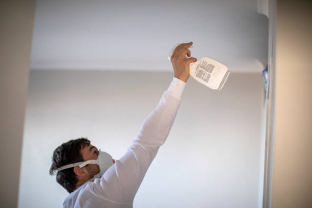 Mold Testing and Removal in Fruitport, MI