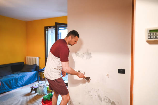 Best Emergency Mold Removal  in Fruitport, MI
